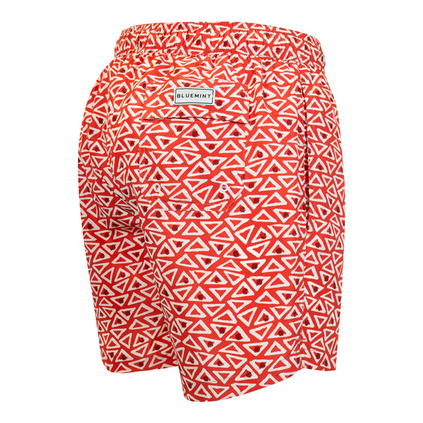 Bluemint logan swimwear