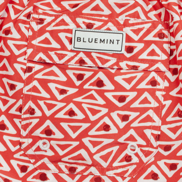 Bluemint logan swimwear