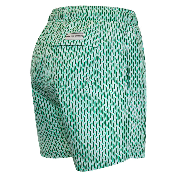 Bluemint logan swimwear