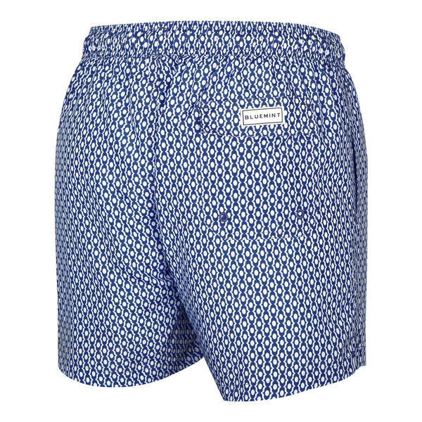 Bluemint logan swimwear