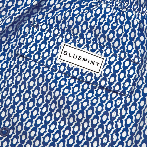 Bluemint logan swimwear