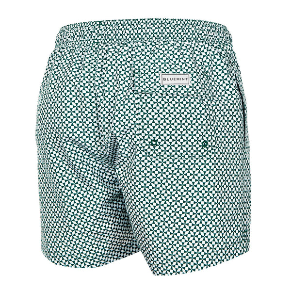 Bluemint logan swimwear