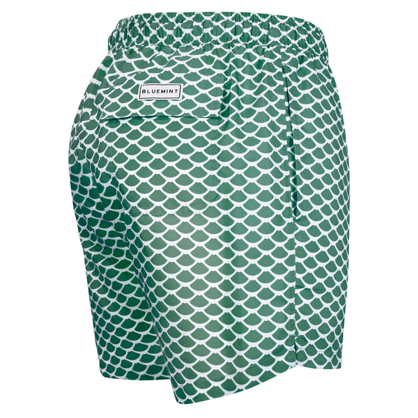 Bluemint logan swimwear