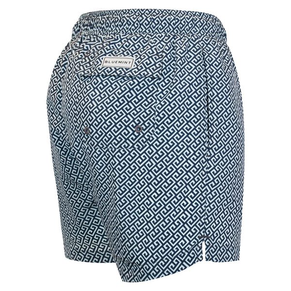 Bluemint arthus stretch swimwear