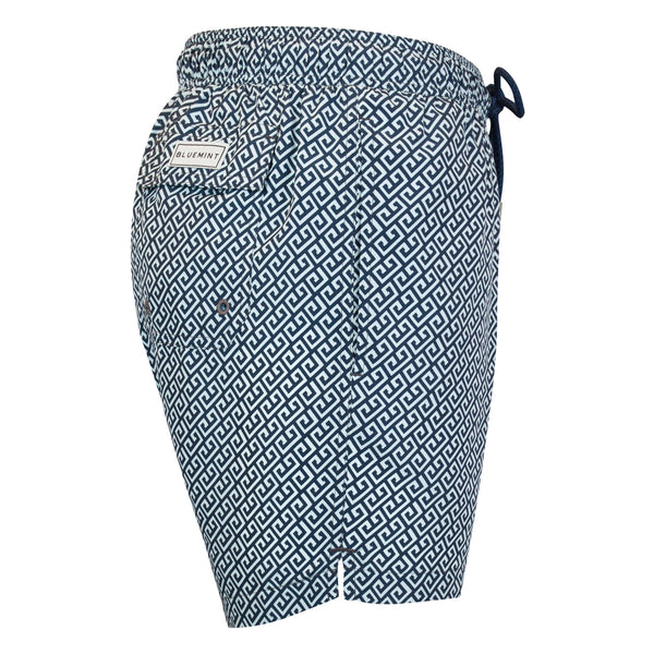 Bluemint arthus stretch swimwear