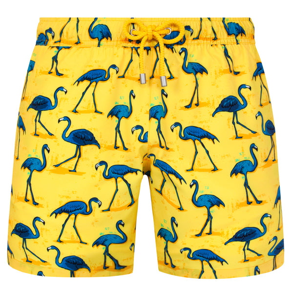 Bluemint arthus stretch swimwear