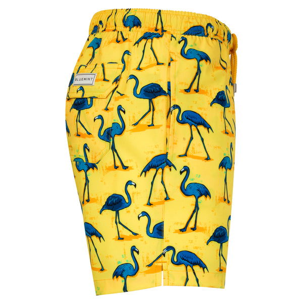 Bluemint arthus stretch swimwear