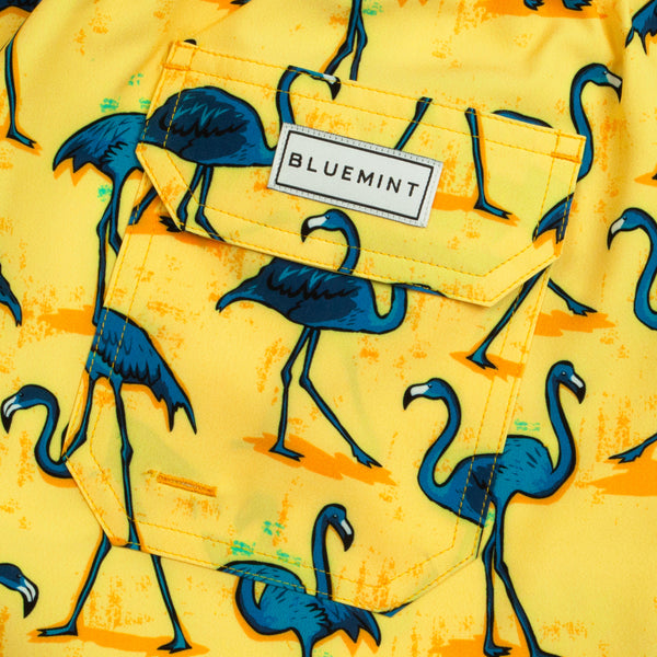 Bluemint arthus stretch swimwear