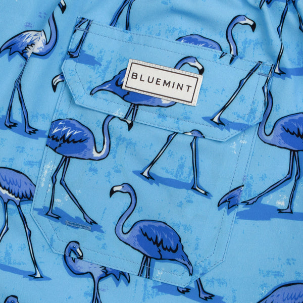 Bluemint arthus stretch swimwear