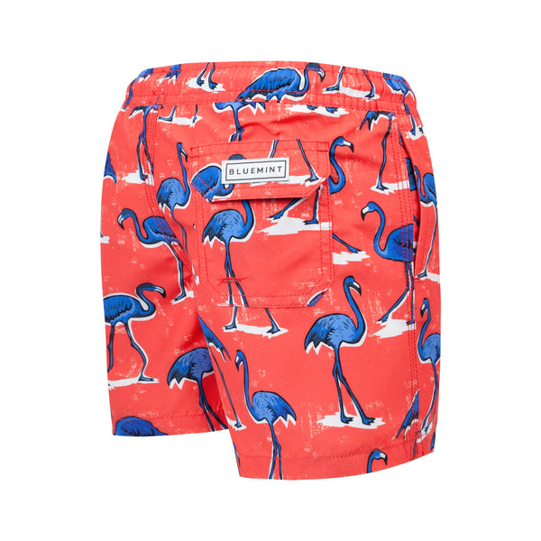 Bluemint arthus boy swimwear