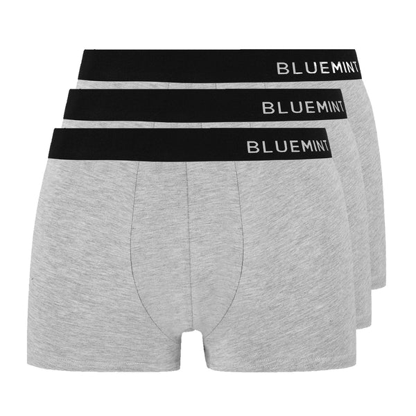 Bluemint tom 3 pack underwear