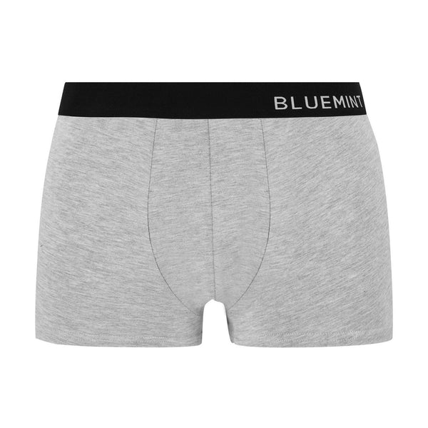 Bluemint tom 3 pack underwear