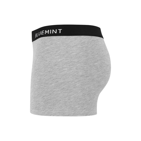 Bluemint tom 3 pack underwear