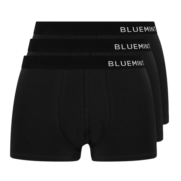 Bluemint tom 3 pack underwear