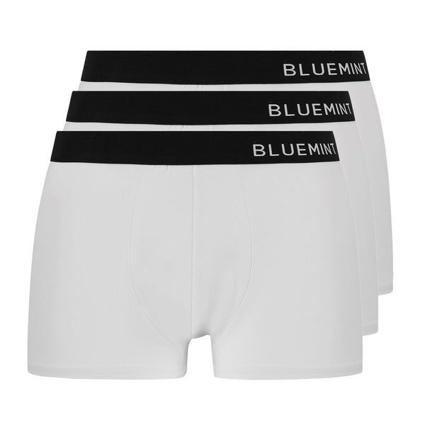 Bluemint tom 3 pack underwear
