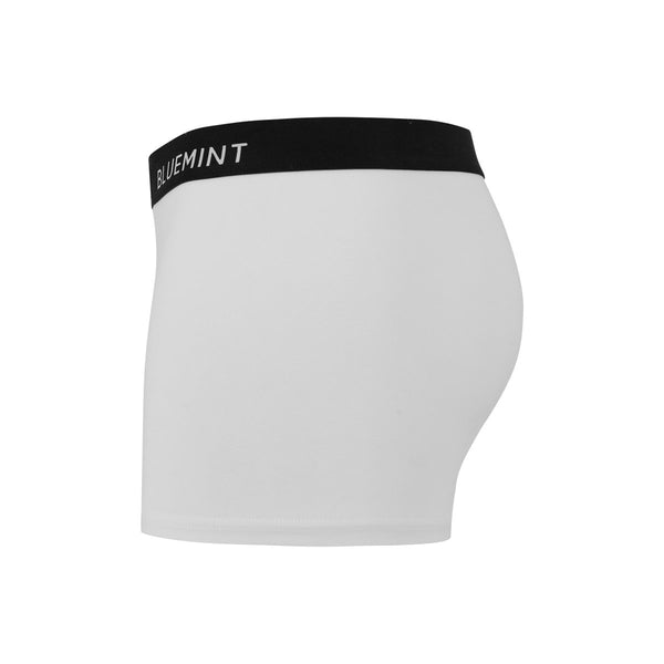 Bluemint tom 3 pack underwear