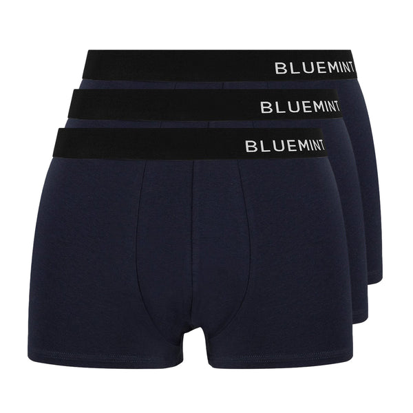 Bluemint tom 3 pack underwear