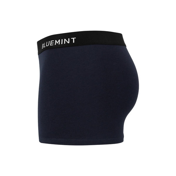 Bluemint tom 3 pack underwear