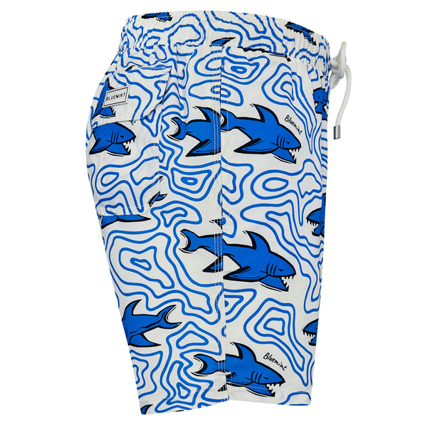 Bluemint arthus swimwear