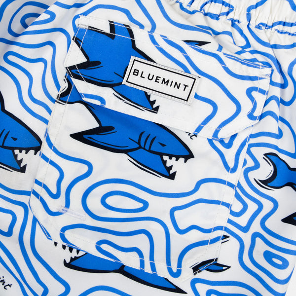 Bluemint arthus swimwear