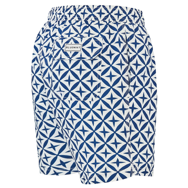 Bluemint arthus swimwear