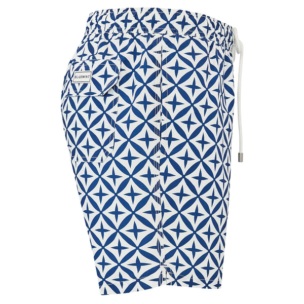 Bluemint arthus swimwear