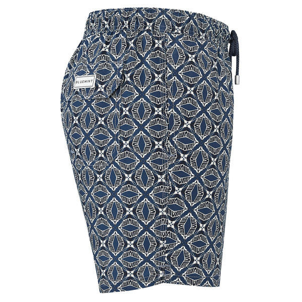 Bluemint arthus swimwear