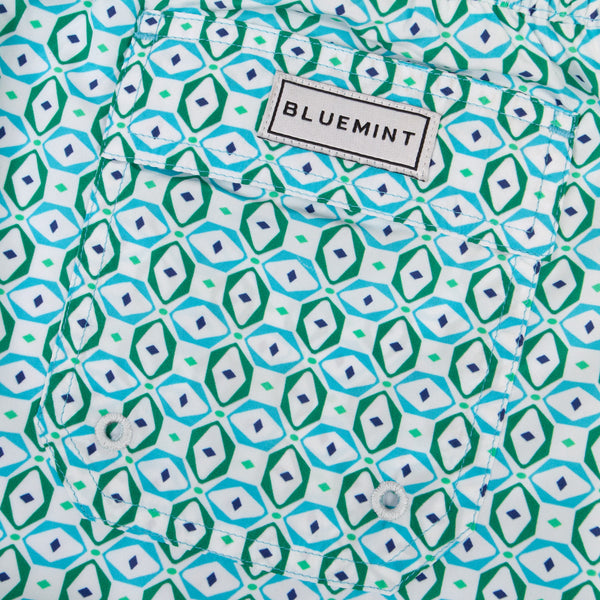 Bluemint logan swimwear