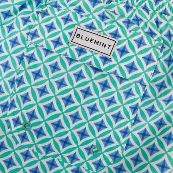 Bluemint logan swimwear