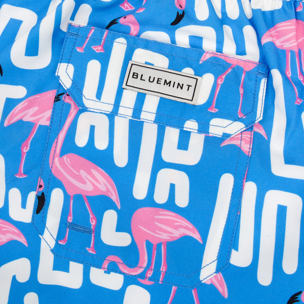 Bluemint arthus stretch swimwear