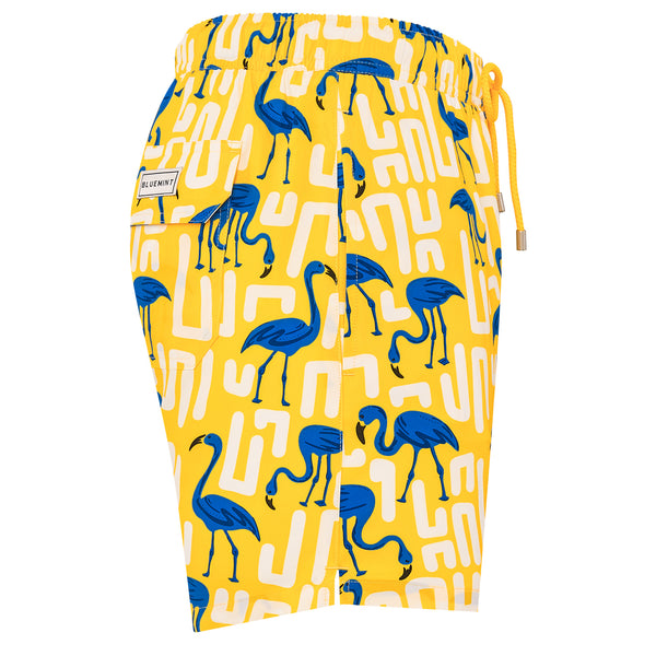 Bluemint arthus stretch swimwear