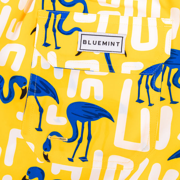 Bluemint arthus stretch swimwear