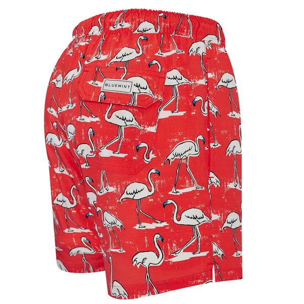 Bluemint arthus stretch swimwear