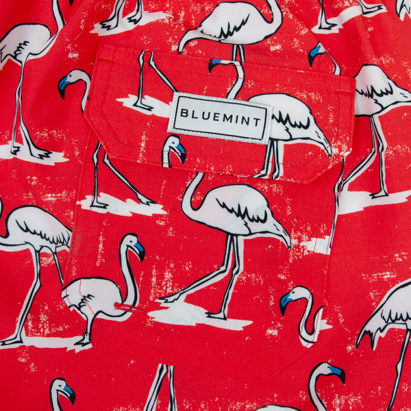 Bluemint arthus stretch swimwear