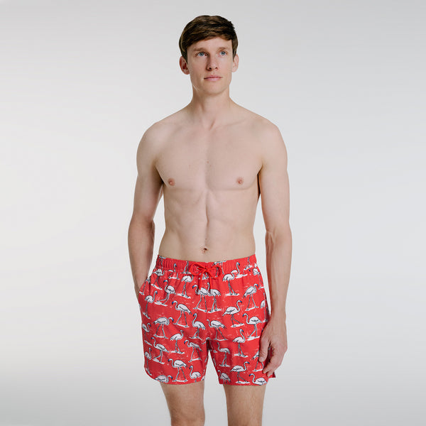 Bluemint arthus stretch swimwear