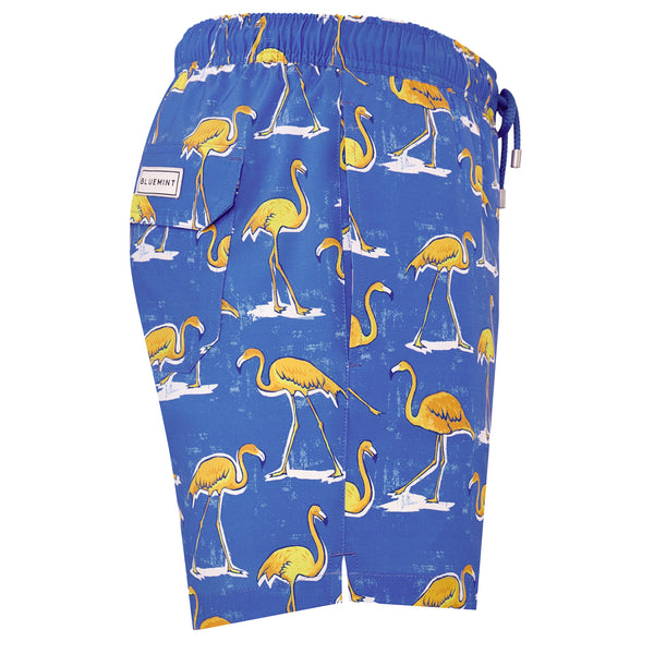 Bluemint arthus stretch swimwear