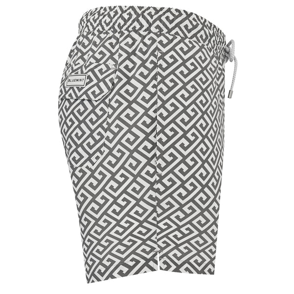 Bluemint arthus stretch swimwear