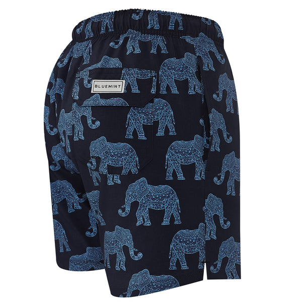 Bluemint arthus stretch swimwear