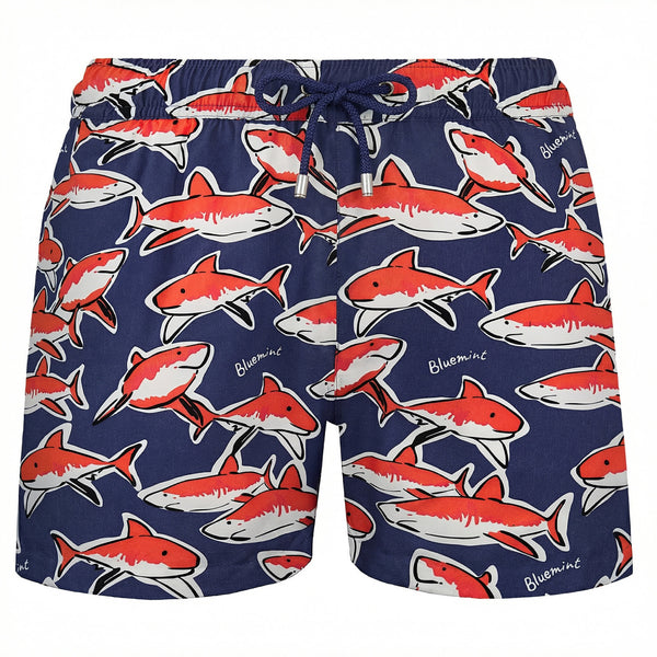 Bluemint arthus boy swimwear