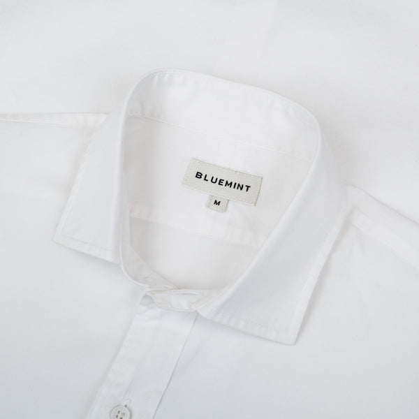 Bluemint gregory shirts
