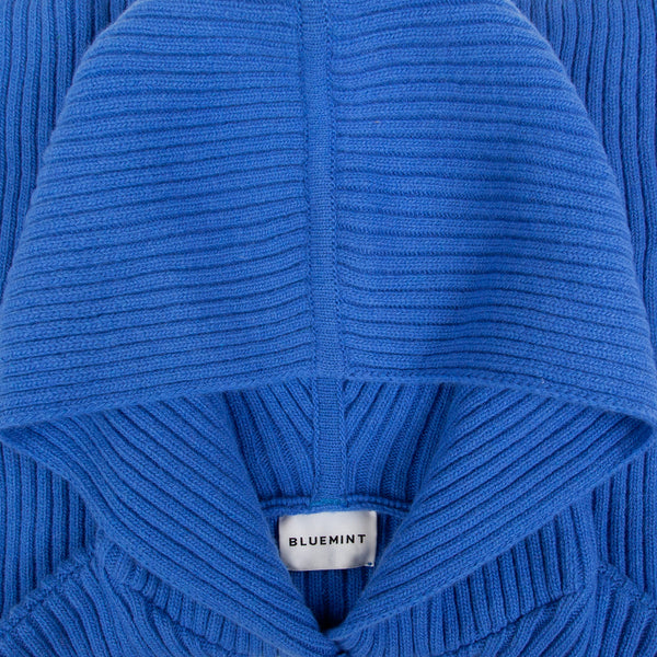Bluemint patricia cape