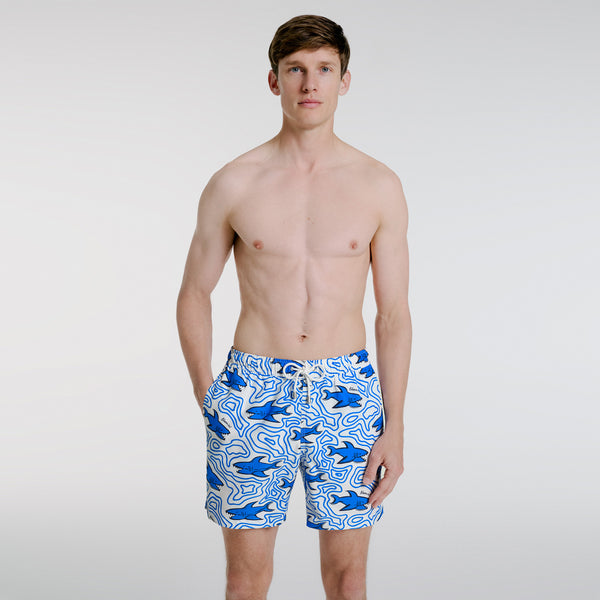 Bluemint arthus swimwear
