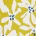 DANDELION PLUMERIA